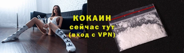 мет Новозыбков