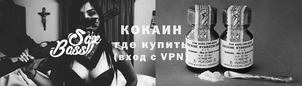 мет Новозыбков