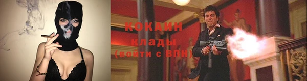 мяу мяу мука Новодвинск