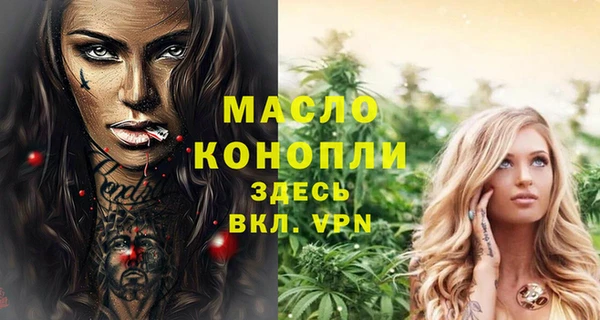 мет Новозыбков