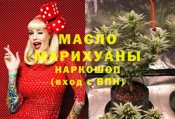 mix Богородицк